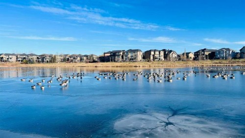 147 Panatella Hill, Calgary, AB - Outdoor With Body Of Water With View