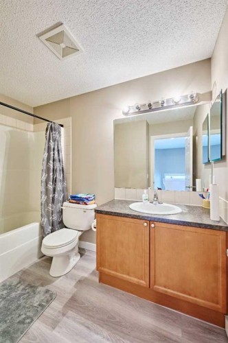 188 Silverado Plains Close Sw, Calgary, AB - Indoor Photo Showing Bathroom