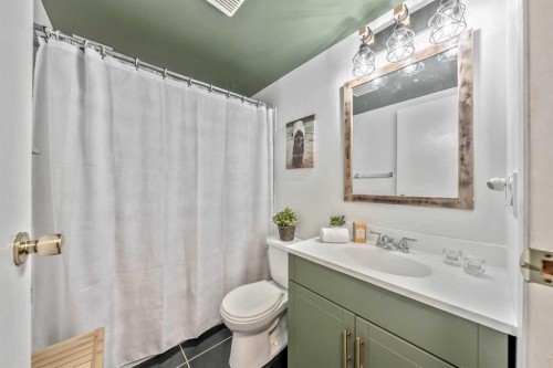 106-10 Dover Point Se, Calgary, AB - Indoor Photo Showing Bathroom