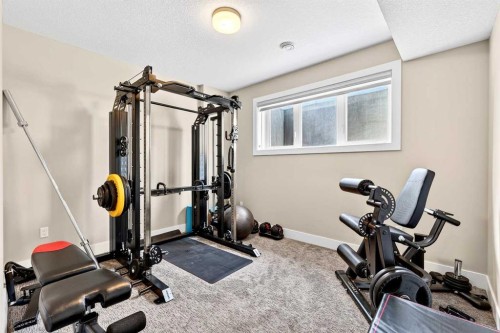 3736 44 Street Sw, Calgary, AB - Indoor Photo Showing Gym Room