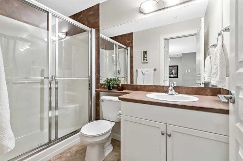 244-52 Cranfield Link Se, Calgary, AB - Indoor Photo Showing Bathroom