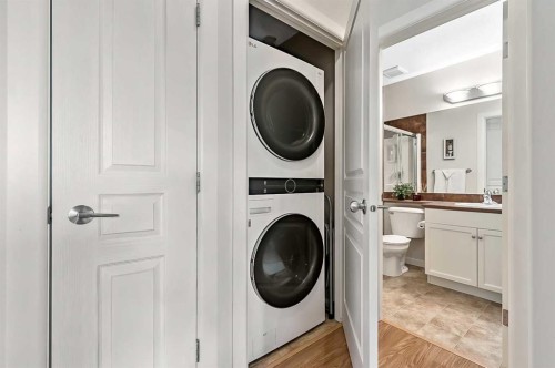 244-52 Cranfield Link Se, Calgary, AB - Indoor Photo Showing Laundry Room