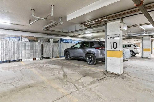 244-52 Cranfield Link Se, Calgary, AB - Indoor Photo Showing Garage
