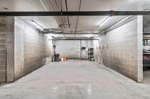 244-52 Cranfield Link Se, Calgary, AB - Indoor Photo Showing Garage
