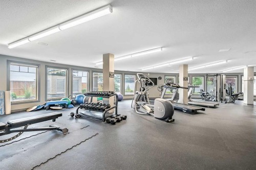 244-52 Cranfield Link Se, Calgary, AB - Indoor Photo Showing Gym Room