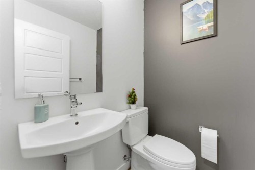 99 Aquila Way Nw, Calgary, AB - Indoor Photo Showing Bathroom
