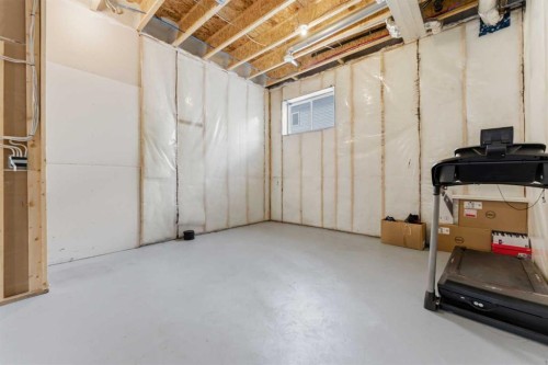 99 Aquila Way Nw, Calgary, AB - Indoor Photo Showing Basement