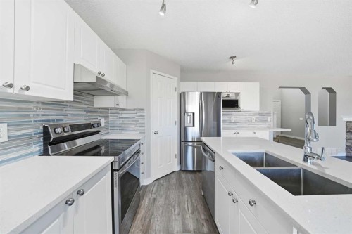 83 Cranfield Crescent Se, Calgary, AB - Indoor Photo Showing Kitchen With Double Sink With Upgraded Kitchen