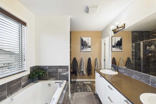 156 Rainbow Falls Heath, Chestermere, AB - Indoor Photo Showing Bathroom