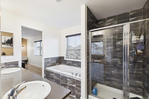 156 Rainbow Falls Heath, Chestermere, AB - Indoor Photo Showing Bathroom