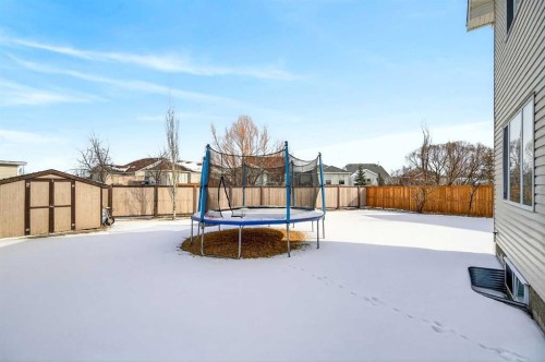 210 West Creek Bay, Chestermere, AB - Outdoor