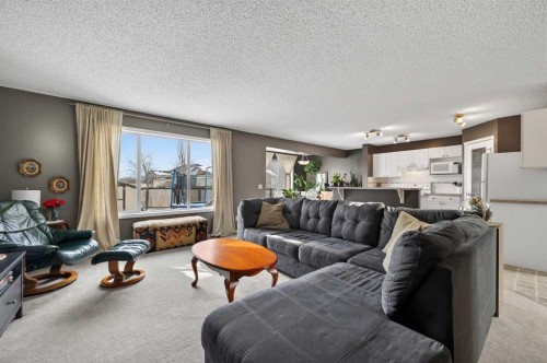 210 West Creek Bay, Chestermere, AB - Indoor Photo Showing Living Room