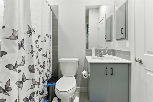 268 Savanna Terrace, Calgary, AB - Indoor Photo Showing Bathroom