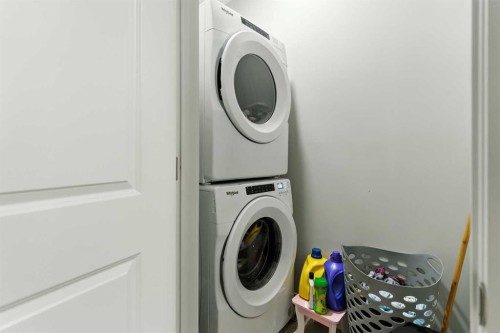268 Savanna Terrace, Calgary, AB - Indoor Photo Showing Laundry Room