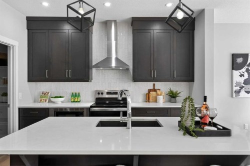 31 Herron Rise Ne, Calgary, AB - Indoor Photo Showing Kitchen With Upgraded Kitchen