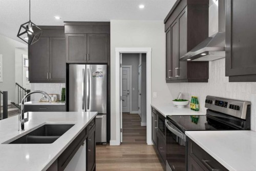 31 Herron Rise Ne, Calgary, AB - Indoor Photo Showing Kitchen With Double Sink With Upgraded Kitchen