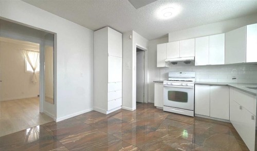 3229 19 Avenue Se, Calgary, AB - Indoor Photo Showing Kitchen
