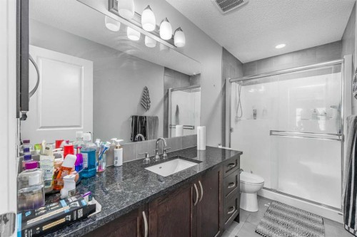 313 Hillcrest Road Sw, Airdrie, AB - Indoor Photo Showing Bathroom