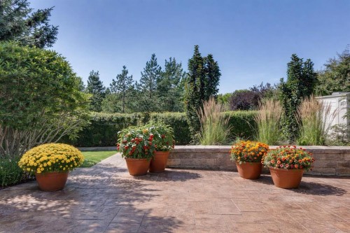 701 Cimarron Close, Okotoks, AB - Outdoor