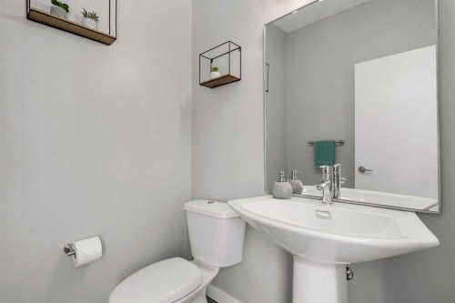 288 Copperstone Gardens Se, Calgary, AB - Indoor Photo Showing Bathroom