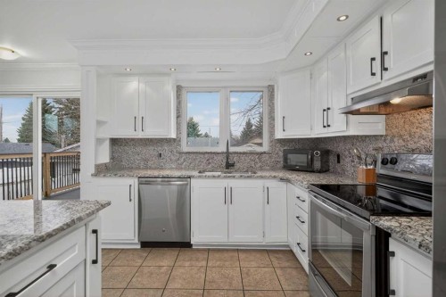 4119 Doverview Drive Se, Calgary, AB - Indoor Photo Showing Kitchen With Stainless Steel Kitchen With Upgraded Kitchen