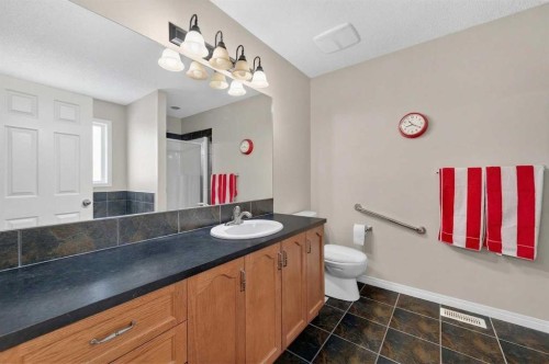 155 Morningside Circle Sw, Airdrie, AB - Indoor Photo Showing Bathroom
