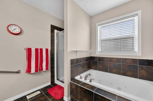 155 Morningside Circle Sw, Airdrie, AB - Indoor Photo Showing Bathroom