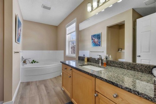 10 Evansbrooke Place Nw, Calgary, AB - Indoor Photo Showing Bathroom