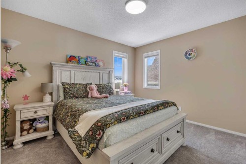 10 Evansbrooke Place Nw, Calgary, AB - Indoor Photo Showing Bedroom