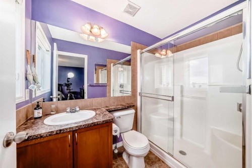 223 Auburn Bay Heights Se, Calgary, AB - Indoor Photo Showing Bathroom