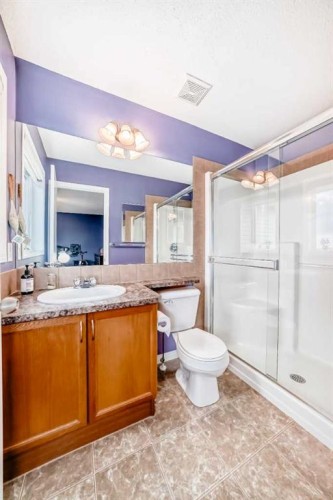 223 Auburn Bay Heights Se, Calgary, AB - Indoor Photo Showing Bathroom