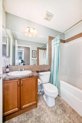 223 Auburn Bay Heights Se, Calgary, AB - Indoor Photo Showing Bathroom