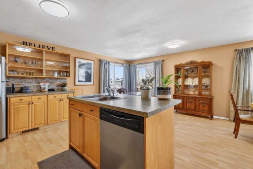 119 3 Avenue West, Hussar, AB - Indoor Photo Showing Kitchen With Double Sink