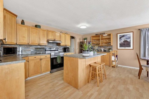 119 3 Avenue West, Hussar, AB - Indoor Photo Showing Kitchen