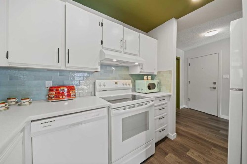 202-825 4 Street Ne, Calgary, AB - Indoor Photo Showing Kitchen