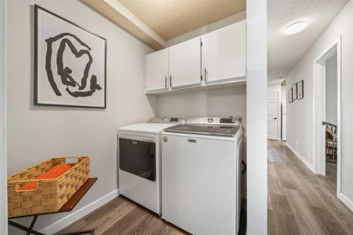 202-825 4 Street Ne, Calgary, AB - Indoor Photo Showing Laundry Room