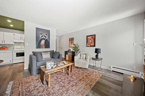 202-825 4 Street Ne, Calgary, AB - Indoor Photo Showing Living Room