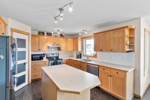 5107 42 Street, Olds, AB - Indoor Photo Showing Kitchen With Double Sink