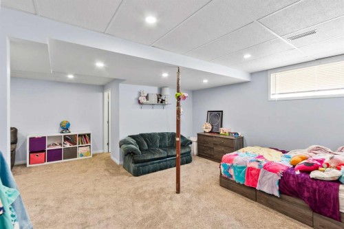 5107 42 Street, Olds, AB - Indoor Photo Showing Basement