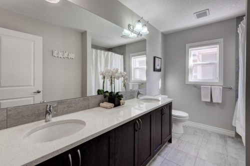 255 Riviera Way, Cochrane, AB - Indoor Photo Showing Bathroom