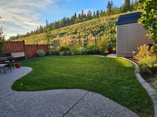 255 Riviera Way, Cochrane, AB - Outdoor