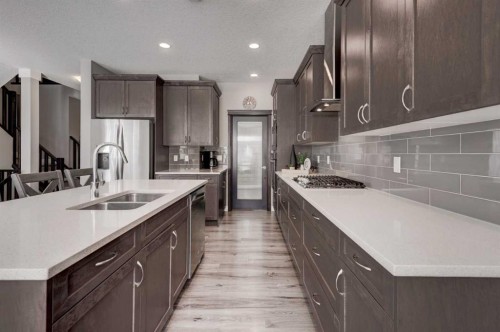 255 Riviera Way, Cochrane, AB - Indoor Photo Showing Kitchen With Double Sink With Upgraded Kitchen