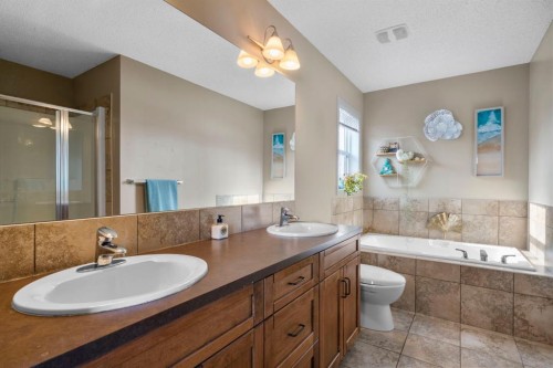 46 River Heights Boulevard, Cochrane, AB - Indoor Photo Showing Bathroom