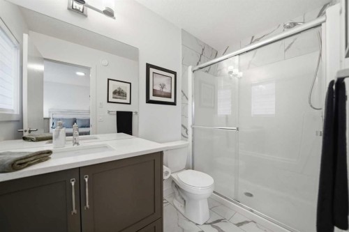 171 Wolf Creek Avenue Se, Calgary, AB - Indoor Photo Showing Bathroom