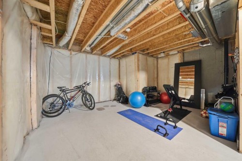 171 Wolf Creek Avenue Se, Calgary, AB - Indoor Photo Showing Basement