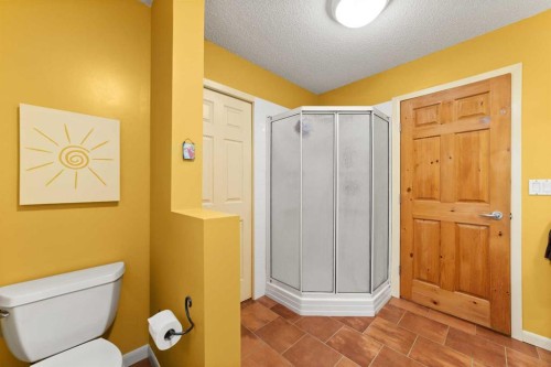 25 Westheights Drive, Didsbury, AB - Indoor Photo Showing Bathroom