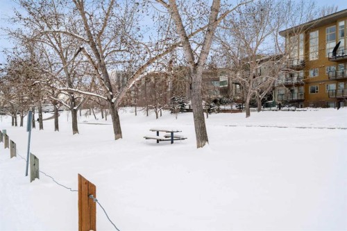 301-4455A Greenview Drive Ne, Calgary, AB - Outdoor