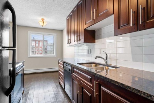 301-4455A Greenview Drive Ne, Calgary, AB - Indoor Photo Showing Kitchen With Double Sink With Upgraded Kitchen