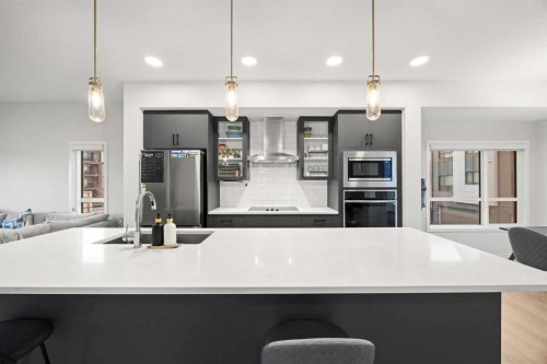 617-20295 Seton Way Se, Calgary, AB - Indoor Photo Showing Kitchen With Upgraded Kitchen