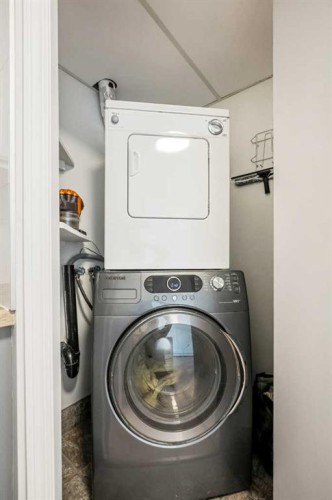 41-3809 45 Street Sw, Calgary, AB - Indoor Photo Showing Laundry Room